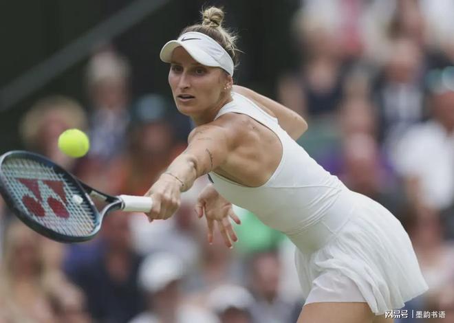 成功对抗率 成功对抗率