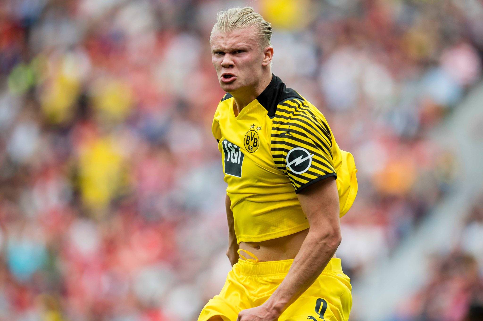 安保响应 安保响应