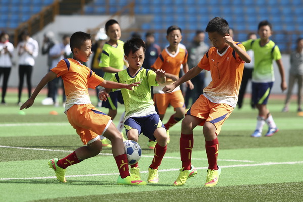 是指强大农 是指强大农