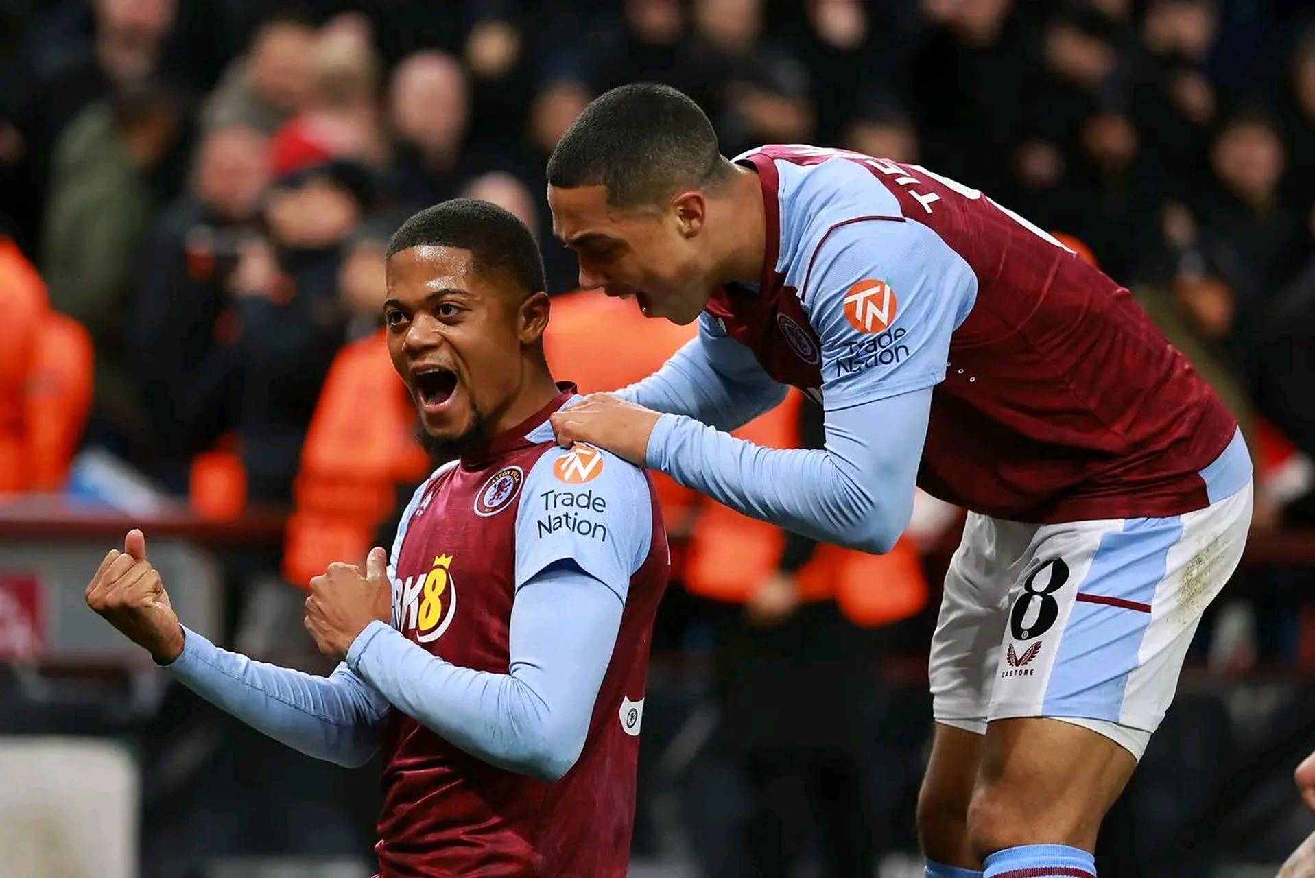 是指强大农 是指强大农